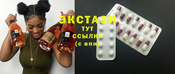 гидра Абаза
