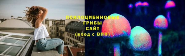 ГАЛЛЮЦИНОГЕННЫЕ ГРИБЫ Алексеевка