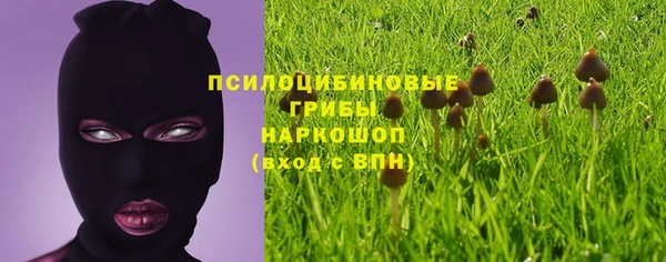 a pvp Алзамай